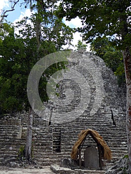 Largely Unrenovated Mayan Pyramid at Coba, Mexico