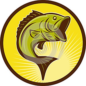 Largemouth Bass fish