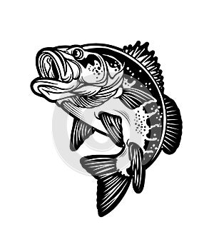 Largemouth Bass Fish. Carnivorous Freshwater Gamefish. Vector Illustration.