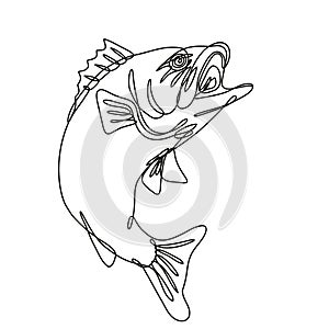 Largemouth Bass Jumping Up Continuous Line Drawing