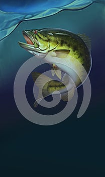 Largemouth Bass jumps out of water realistic illustration background. Big bass perch fishing in the usa on a river or lake.