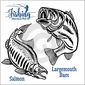 Largemouth Bass and Salmon fishing on usa