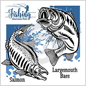 Largemouth Bass and Salmon fishing on usa