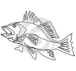 Largemouth Bass Side View Continuous Line Drawing