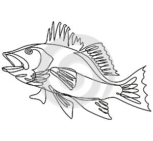 Largemouth Bass Side View Continuous Line Drawing photo