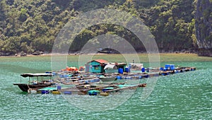 Large Fish Farms, Halong Bay Vietnam