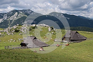 The largest Alpine settlement of shepherds in Europe. Slovenia