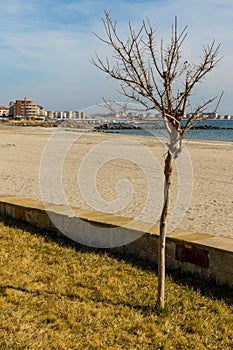 The largest Bulgarian beach in Pomorie