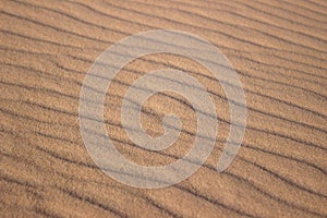 The largest desert in Europe, Ukraine - Oleshky Sands OleshkivsÊ¹ki pisky. Waves in the sand, beautiful ripples of sand,