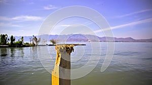 Largest freshwater lake, Lake Chapala