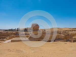The largest and most famous sphinx is the Great Sphinx of Giza.