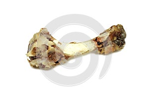 Largest pork bone gnawed