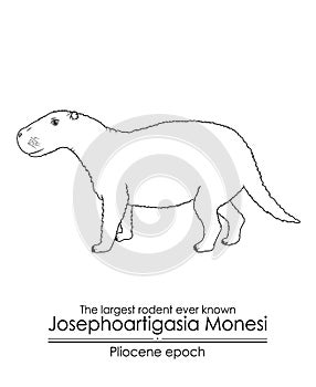 The largest rodent ever known Josephoartigasia Monesi