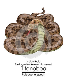 The largest snake ever discovered, Titanoboa