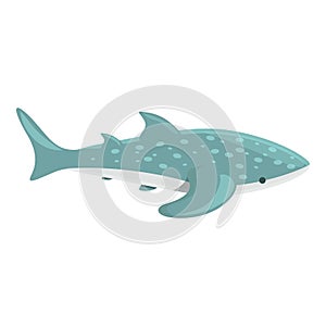 Largest whale shark icon cartoon vector. Sea fish