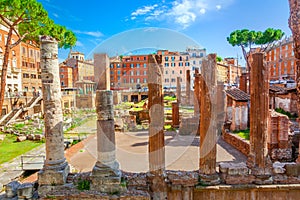 Largo Argentina photo