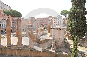 Largo di Torre Argentina Archaeological site Rome Italy