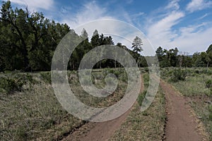 The Largo trail near Quemado lake, New Mexico