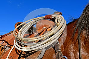 Lariatlasso attached to the saddle of a horse