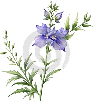 Larkspur flower, Watercolor painting of a larkspur flower. AI-Generated.