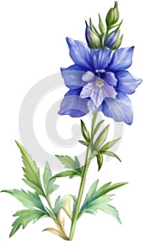 Larkspur flower, Watercolor painting of a larkspur flower. AI-Generated.