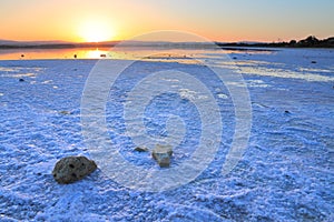 Larnaca salt lake