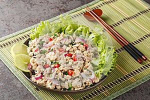 Larp or Laab gai or larb gai spicy salad breast chicken with herb closeup on the plate. Horizontal