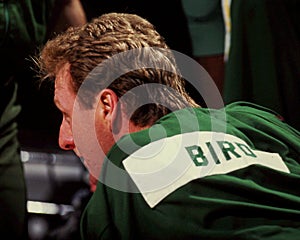 Larry Bird, Boston Celtics
