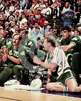 Larry Bird, Boston Celtics