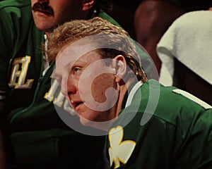 Larry Bird, Boston Celtics