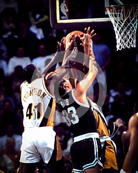 Larry Bird, Boston Celtics