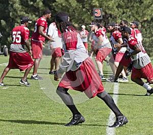 Larry Fitzgerald at Cardinals training camp