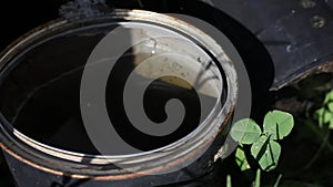 Larvae Festering In Stagnant Water Close Up Water Dripping on Buckets