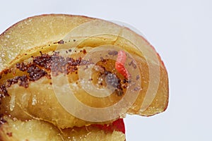 Larvae of a plum fruit moth Grapholita funebrana in a plum fruit