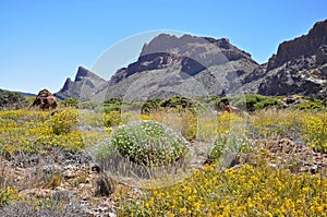 Las Canadas del Teide range