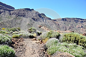 Las Canadas del Teide range
