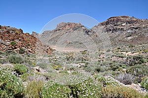 Las Canadas del Teide range