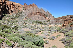 Las Canadas del Teide range