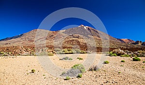 Las Canadas National park with mount Teide