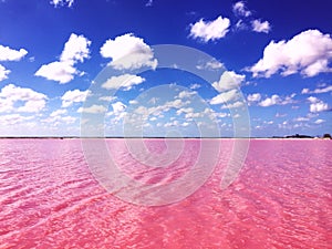 Las Coloradas de YucatÃÂ¡n photo