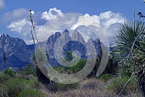 Las Cruces Mountains