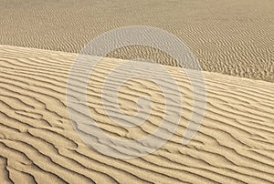 Las Dunas de Maspalomas, Gran Canaria