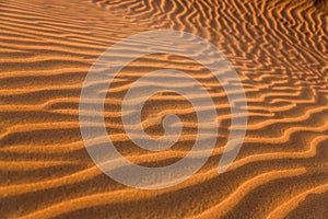Las dunas de Maspalomas photo