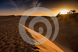 Las dunas de Maspalomas photo