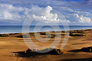 Las Dunas des Maspalomas photo