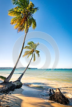 Las Galeras tropical beach in sunset