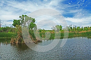 Las Lagunas de Anza Wetlands