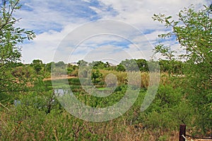 Las Lagunas de Anza Wetlands photo