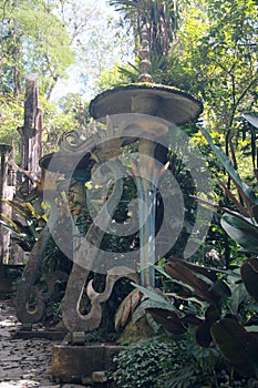 Las Pozas garden made by Edward James is a surreal set in the municipality of Xilitla in San Luis PotosÃ­ Mexico full of