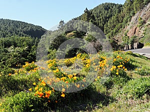 Las Ra­ces recreational area on the Las Lagunetas mountain